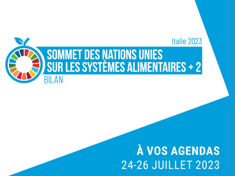 unfss-stocktaking-fr