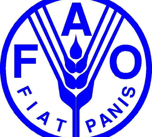 EN HAÏTI, LA FAIM VIENT D’ATTEINDRE UN NOUVEAU SOMMET HISTORIQUE : PRÈS D’UN HAÏTIEN SUR DEUX EST DÉSORMAIS EN SITUATION D’INSÉCURITÉ ALIMENTAIRE AIGUË